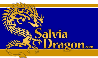 Salvia Dragon Logo